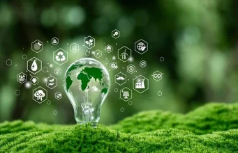 How Sustainable Companies Build Trust and Long-Term Value in Competitive Sectors
